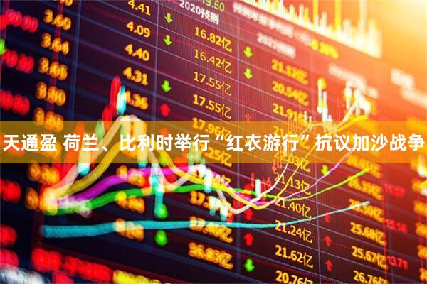 天通盈 荷兰、比利时举行“红衣游行”抗议加沙战争