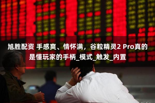 旭胜配资 手感爽、情怀满，谷粒精灵2 Pro真的是懂玩家的手柄_模式_触发_内置
