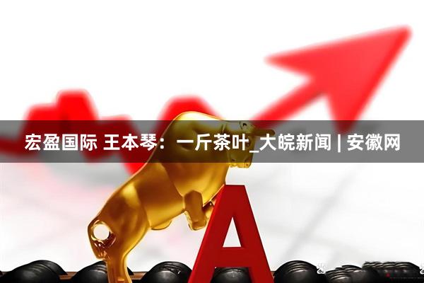 宏盈国际 王本琴：一斤茶叶_大皖新闻 | 安徽网