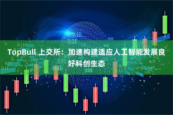 TopBull 上交所：加速构建适应人工智能发展良好科创生态
