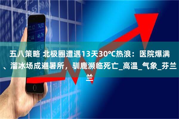 五八策略 北极圈遭遇13天30℃热浪：医院爆满、溜冰场成避暑所，驯鹿濒临死亡_高温_气象_芬兰