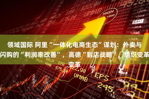 领域国际 阿里“一体化电商生态”谋划：外卖与闪购的“利润率改善”，高德“到店战略”，组织变革