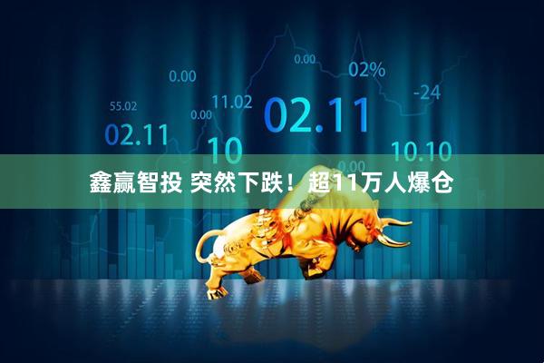 鑫赢智投 突然下跌！超11万人爆仓